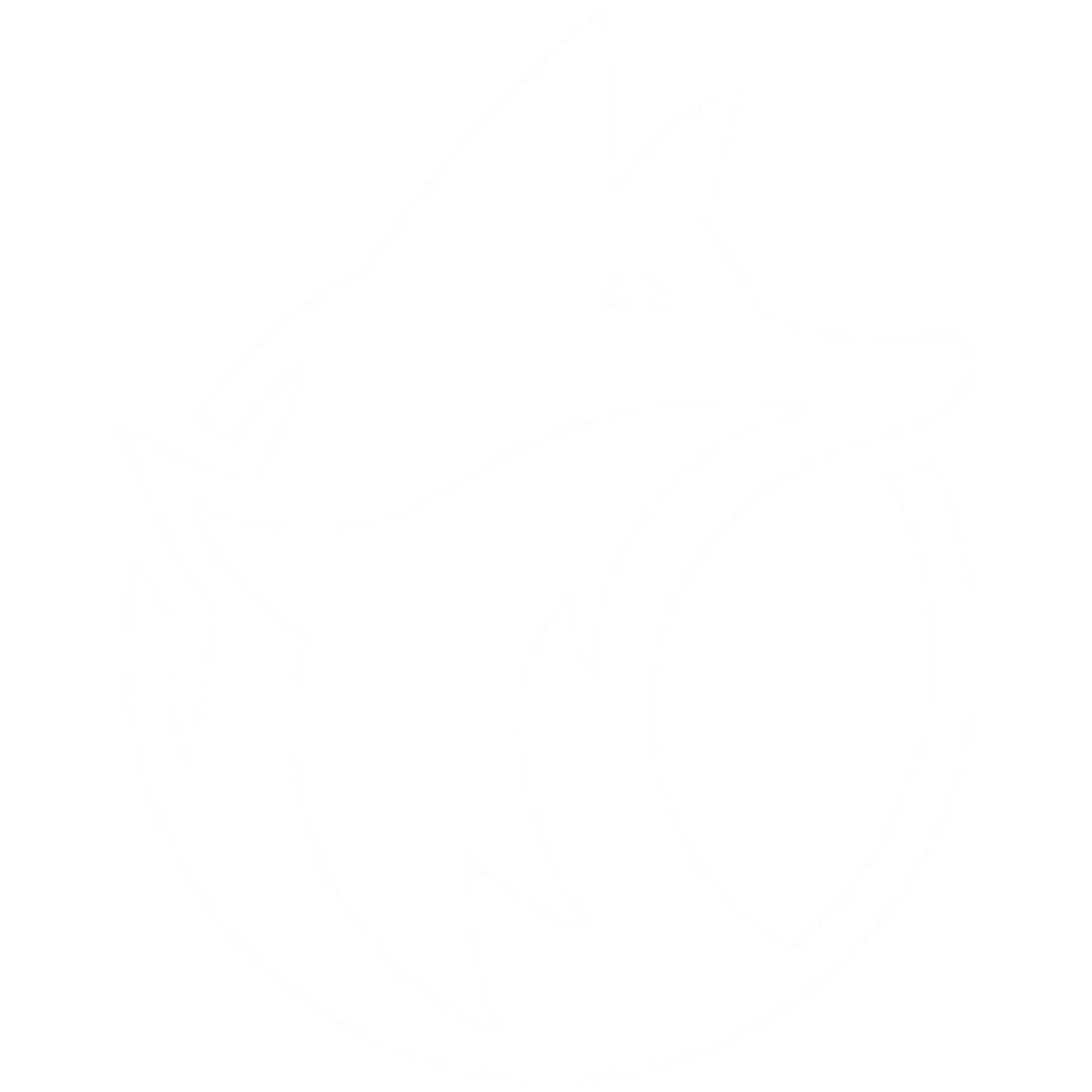 Luafox Logo